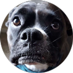 Profile photo of Benjamin Lowrey