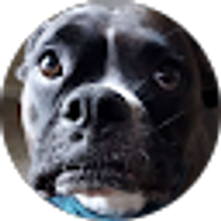 Profile photo of Benjamin Lowrey