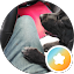 Profile photo of Luke Bressette