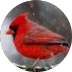 Profile photo of Betty Morris