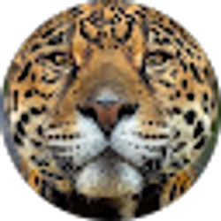 Profile photo of Gabriel Suastegui