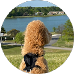 Profile photo of Jastine Dizon