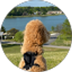 Profile photo of Jastine Dizon