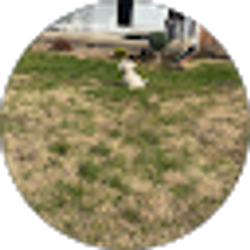 Profile photo of W W