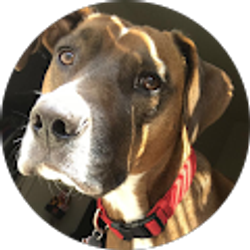 Profile photo of Colin Theis
