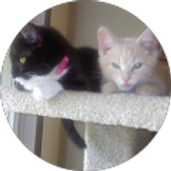 Profile photo of Jan Nossal