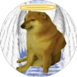 Profile photo of Marcel GG