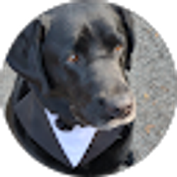 Profile photo of Ann Margaret