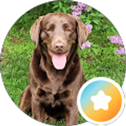 Profile photo of Becky Boettcher