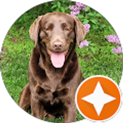 Profile photo of Becky Boettcher