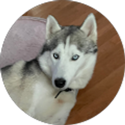 Profile photo of karin welsh