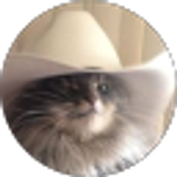 Profile photo of Robert Burke
