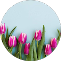 Profile photo of Denisse Valdez Lopez