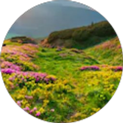 Profile photo of Tracey G