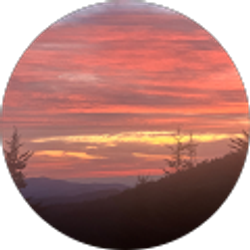 Profile photo of Trevor Davison Jr