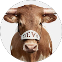 Profile photo of Narn Cuda