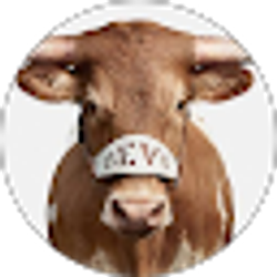 Profile photo of Narn Cuda
