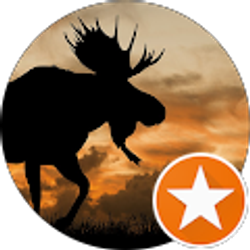 Profile photo of Moose 27