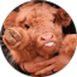 Profile photo of Ashlyn Clark