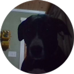 Profile photo of christine neeley