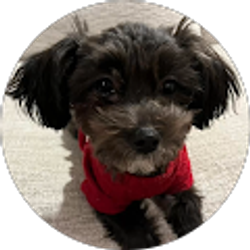 Profile photo of Mell Hansen