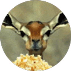 Profile photo of M. A.