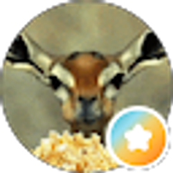 Profile photo of M. A.