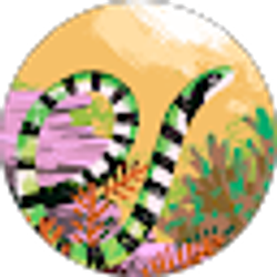 Profile photo of Sirquatta Johnson
