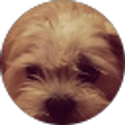 Profile photo of Jessica Mills