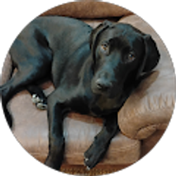 Profile photo of Max Wensell