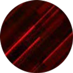 Profile photo of Mason Kauk