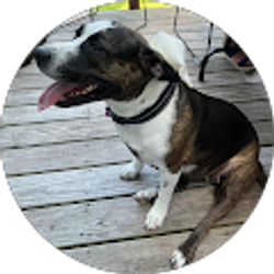 Profile photo of Javier Macías