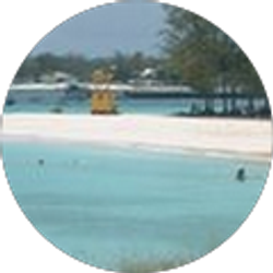 Profile photo of Mark Brew