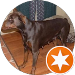 Profile photo of oilfield trash12