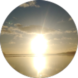 Profile photo of J M