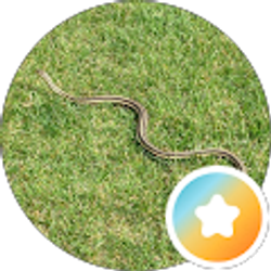Profile photo of Chris Williams