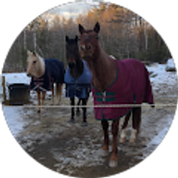 Profile photo of Janelle Powers