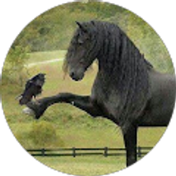 Profile photo of Lora Kelly