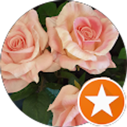 Profile photo of Adaneri Rios