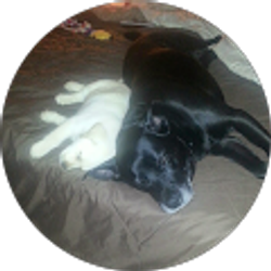 Profile photo of Brenda Pini