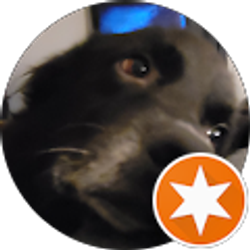 Profile photo of Rick Wilson