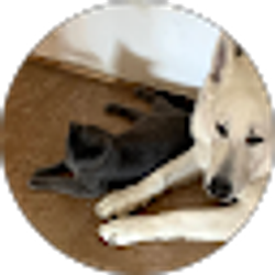 Profile photo of Francisco Tinoco