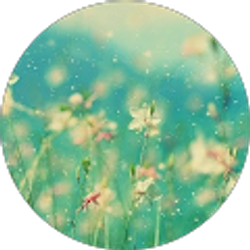 Profile photo of C La