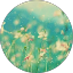 Profile photo of C La