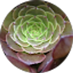 Profile photo of Beth Larken