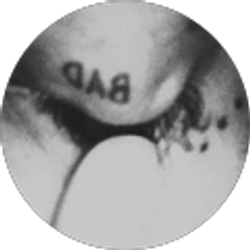 Profile photo of Alex Merino-Martinez