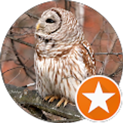 Profile photo of Lori Sitton