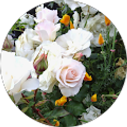 Profile photo of Maud Engel