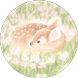 Profile photo of Eleanor Shearman