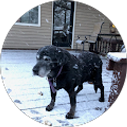 Profile photo of Clifford Langley